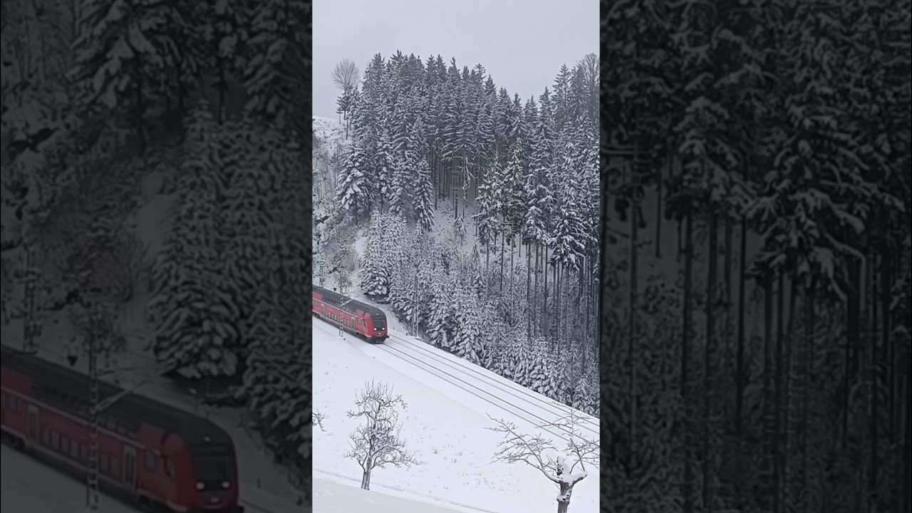 RE am verschneiten "Hohnen" Richtung Triberg