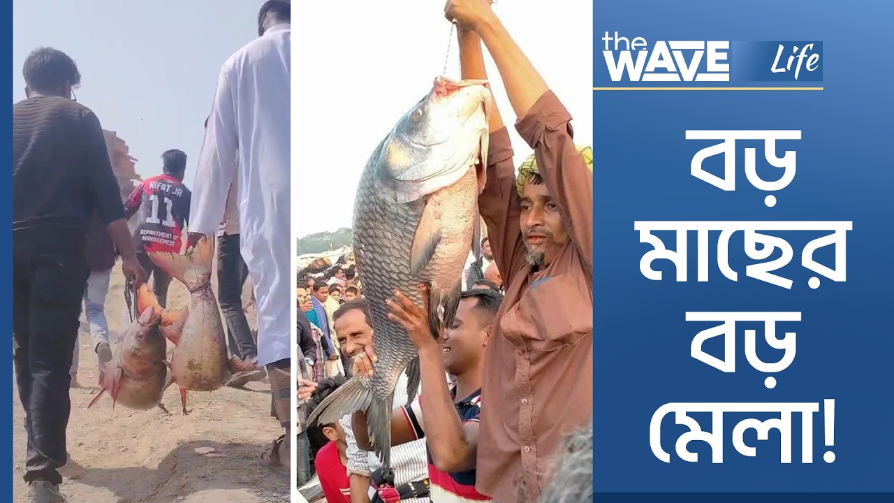 খাউড়া বা ছোট সন্ন্যাসী মেলাইতিহাসের পথ ধরে মাছের সমাবেশ | The Wave Life