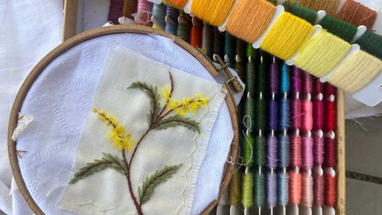 Blossoms have sprouted -  Wattle - Pt 2 