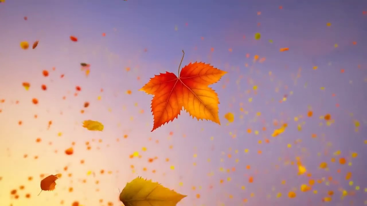Falling Leaves Melody 🍂 Anime Beat