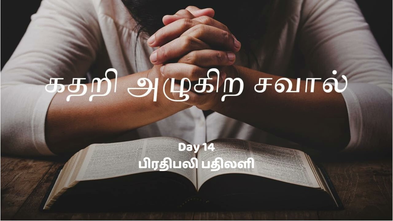 Day 14 - பிரதிபலி பதிலளி / Cry Out! Reflect and Respond