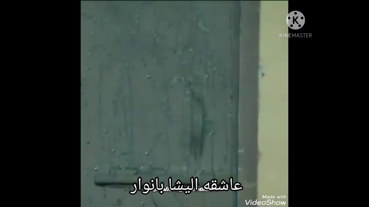 تحدي بين (كنان و يزن و ياسين) من مسلسل فضيله خانم وبناتها من الاجمل برأيكم ☺️💜