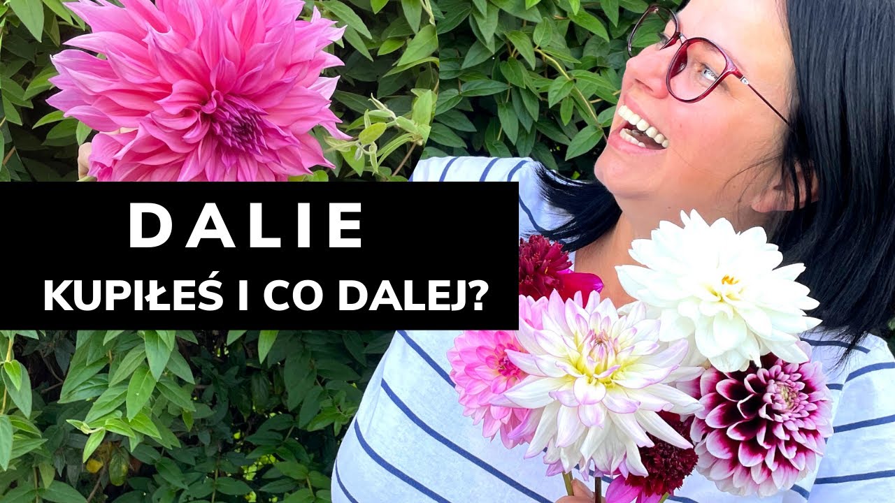 DALIE? co z nim teraz zrobić. Kwiecień w ogrodzie. Jak sadzić dalie. Kwiaty w ogrodzie. Kasia in