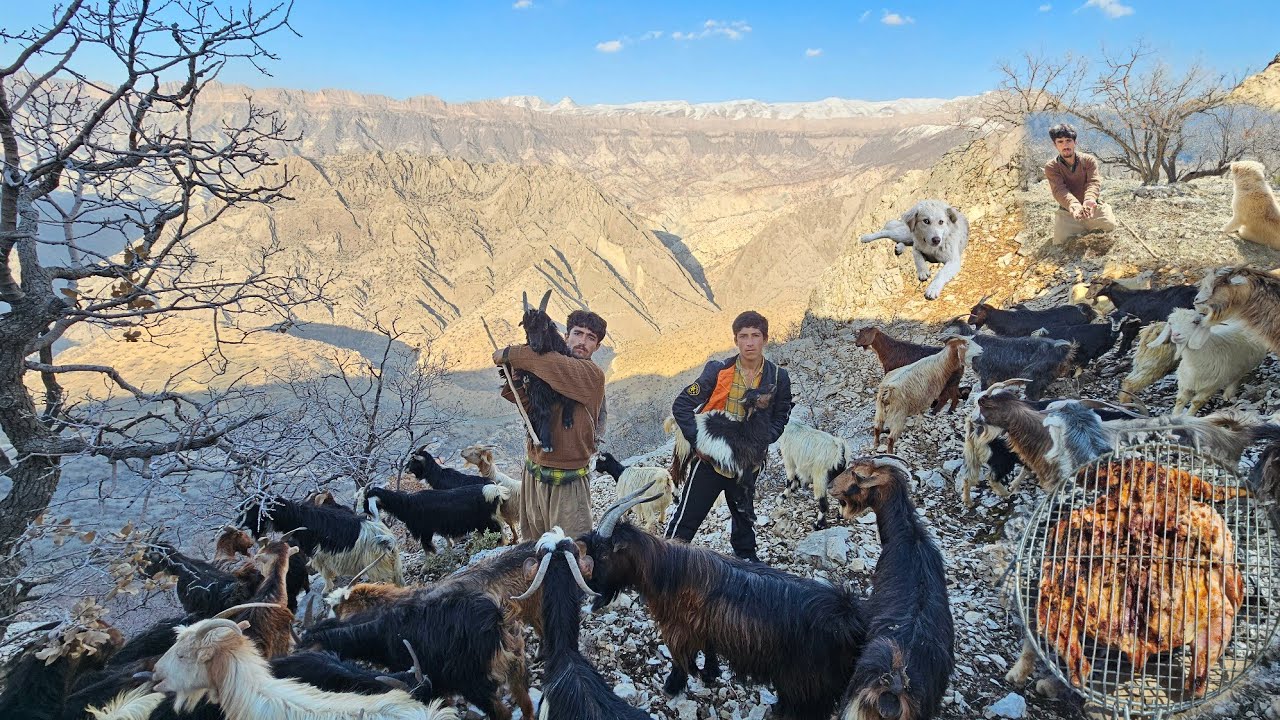 The real life of nomads in the mountains | Goat herding, oak planting, and traditional barbecue
