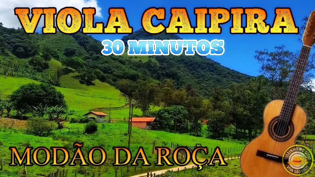 MODÃO DE VIOLA 100% RAIZ - 30 MINUTOS DO SOM DA ROÇA