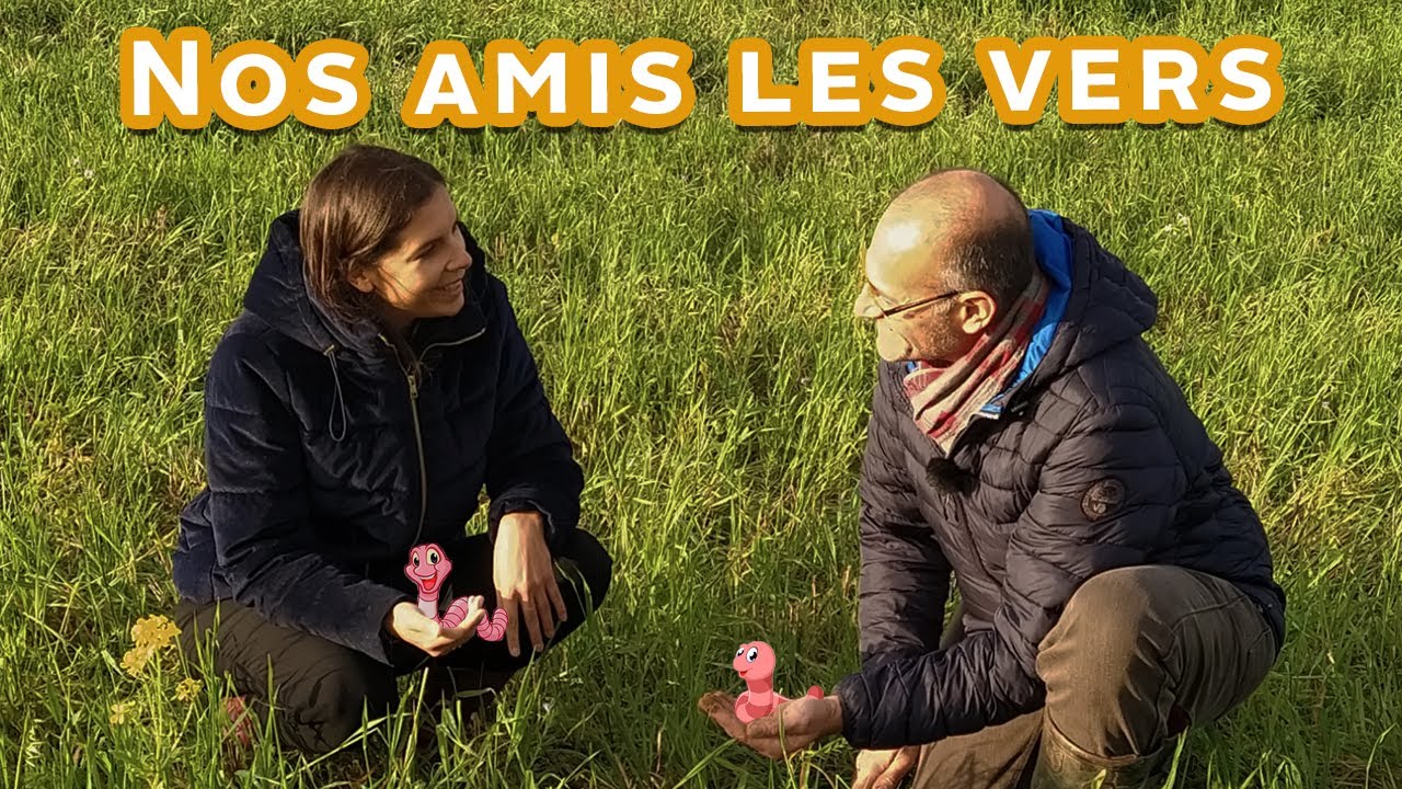 L'empire des VERS DE TERRE !... #17