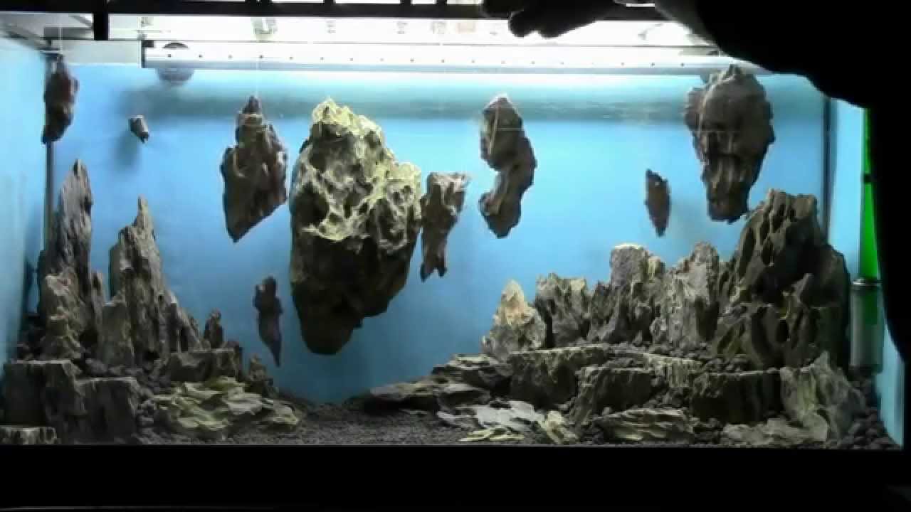 Allestimento acquario fantasy - Aquarium Setup - Aquascape: Esercitazioni Jedi STEP 1