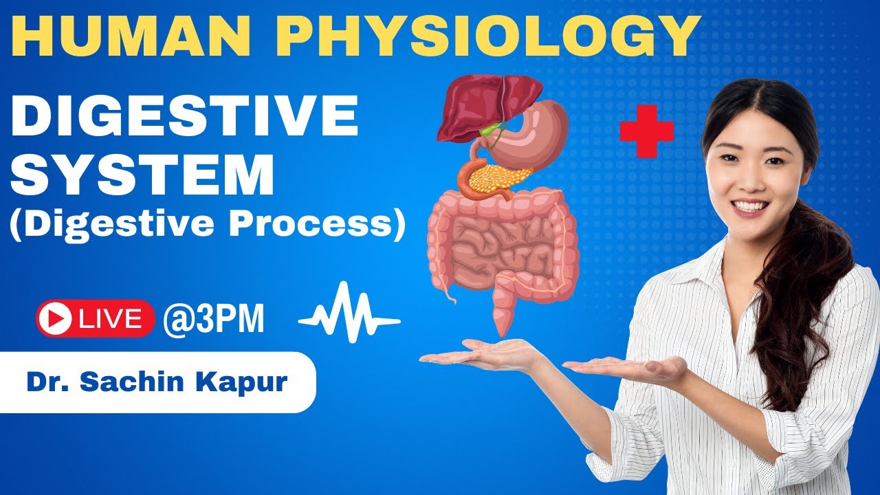 Digestion and Absorption | Digestive Process |NEET 2024 | NEET Biology | Dr Sachin Kapur | AIIMS