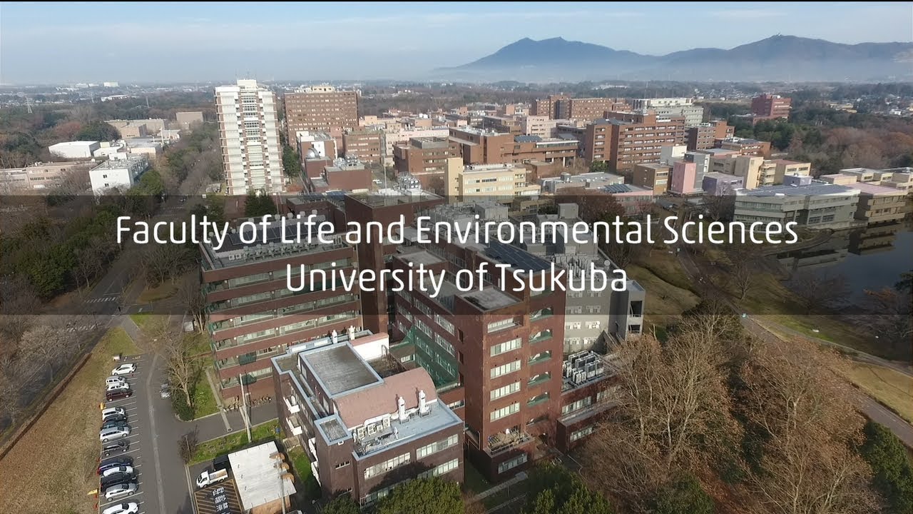 Faculty of Life and Environmental Sciences