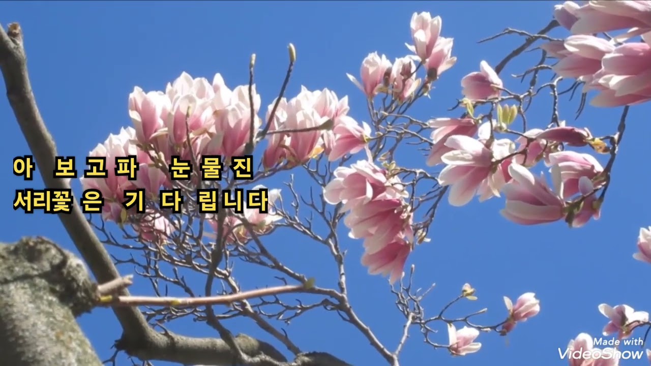 #사리꽃/ 하얀치맛 자락풀어 놓고 