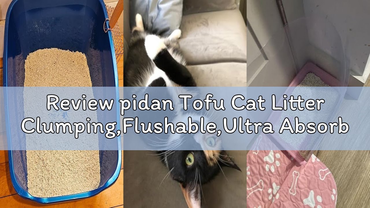 Review pidan Tofu Cat Litter Clumping,Flushable,Ultra Absorbent and Fast Drying, 100% Natural Ingred