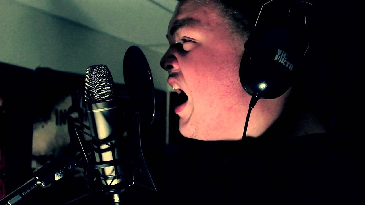 Tesseract - Concealing Fate Part 4: Perfection (Vocal Cover)