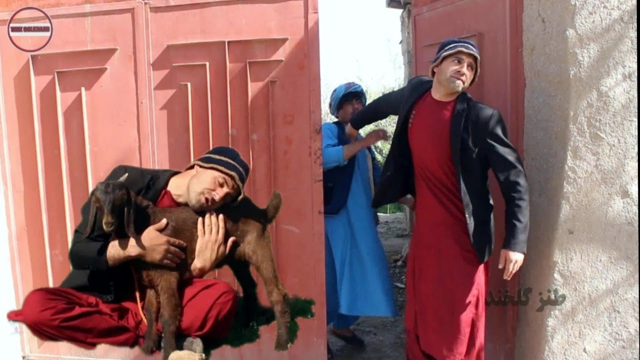 نظرگل سر از لت شد
