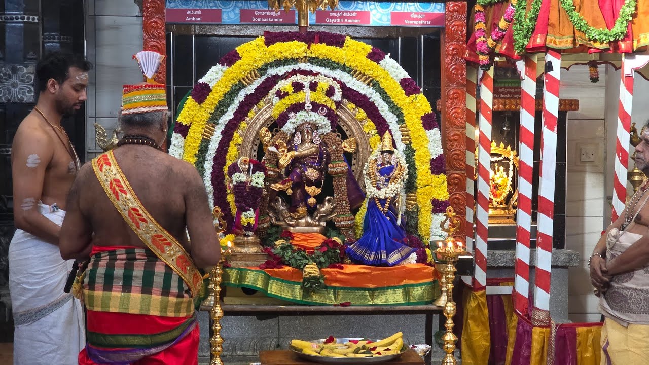 London Sri Sithambareswarar Temple Manor Park Arudra Dharsana Pooja 2026 Part  7