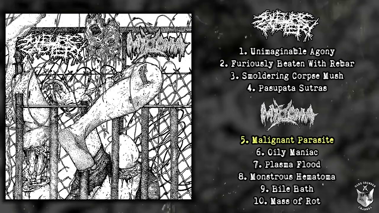 Sulfuric Cautery / Myxoma - split MC/CD FULL ALBUM (2025 - Goregrind)