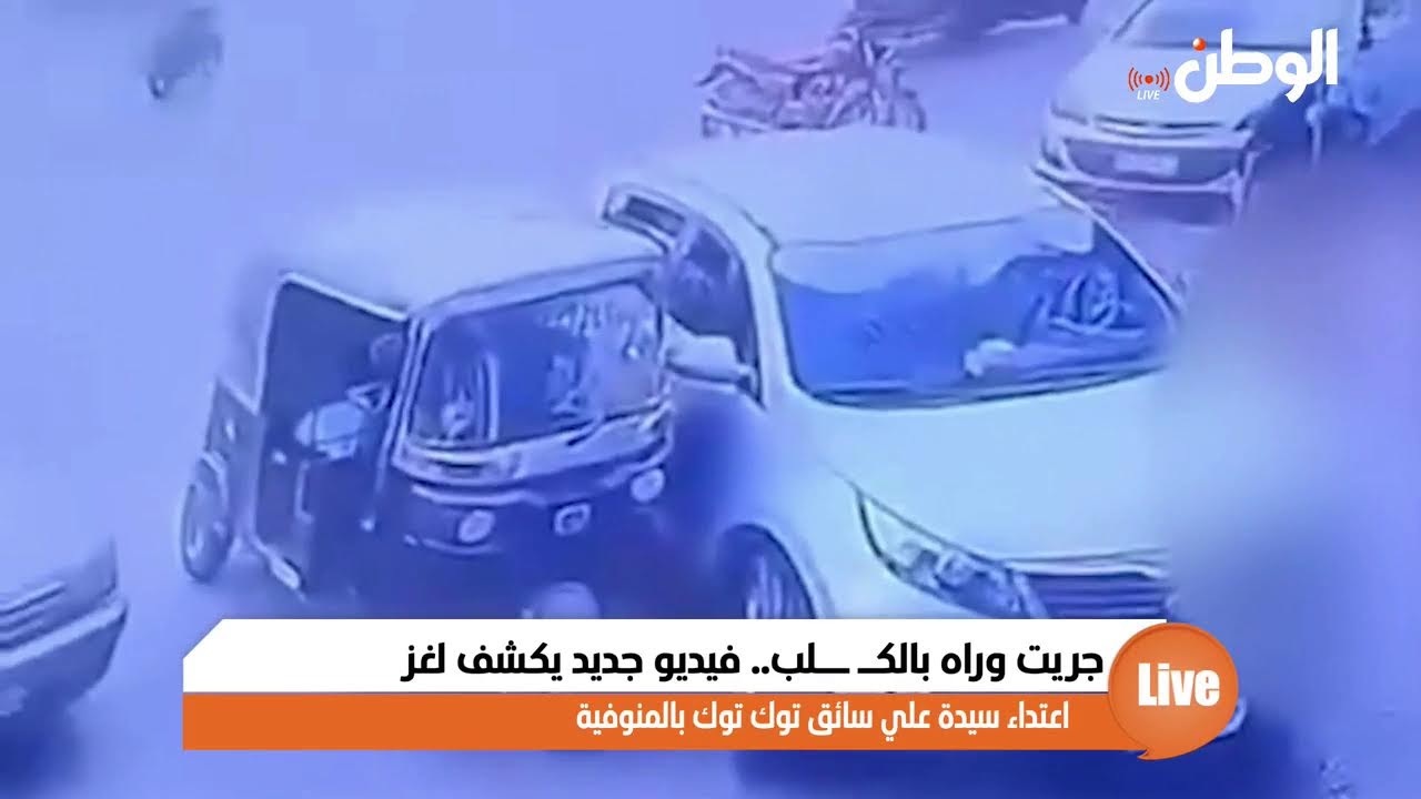 جريت وراه بالكـ ــلب.. فيديو جديد يكشف لغز اعتداء سيدة علي سائق توك توك بالمنوفية