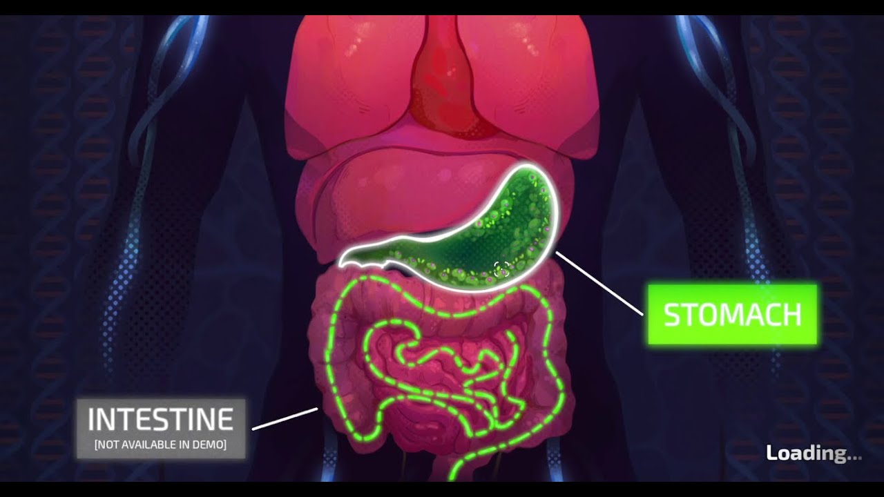 Pathogenic - I am the reason your bowels hurt