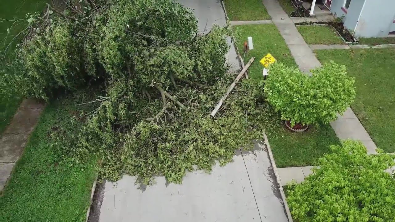 Legal Lens: Are you liable if a tree branch damages neighbor's property?