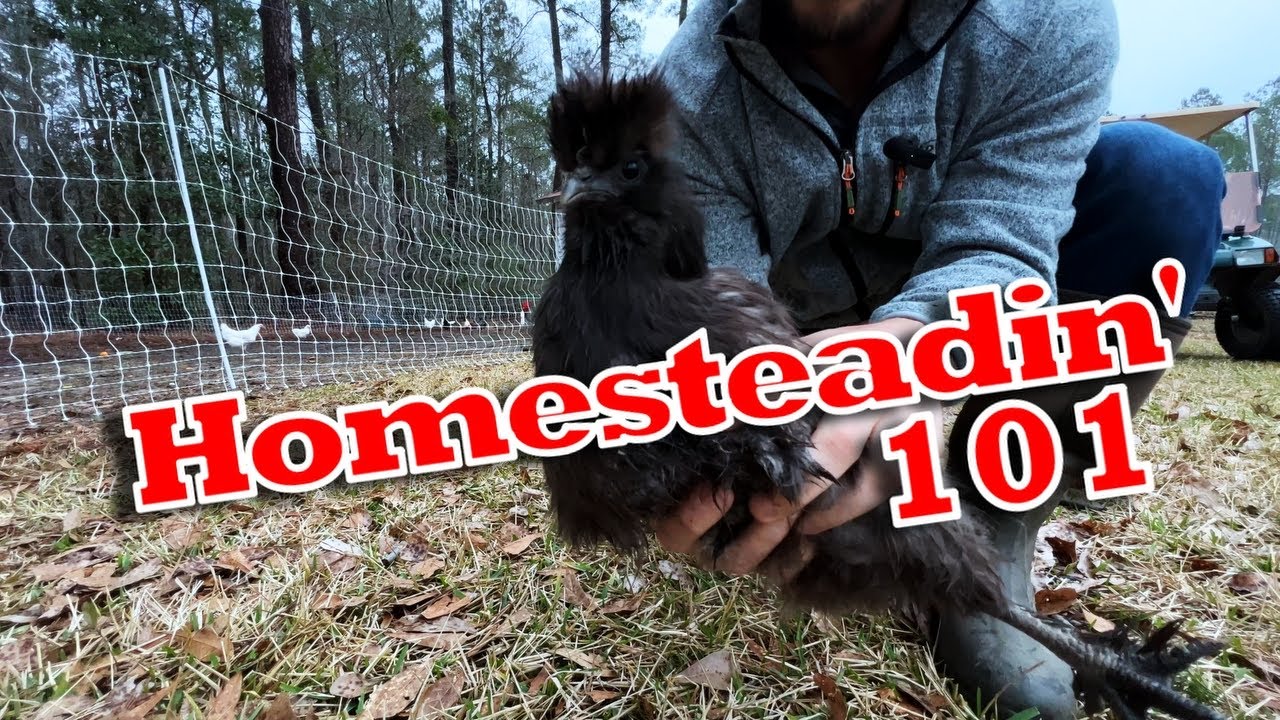 How to Start a Homestead in 2025 | Homesteadin' for Beginners