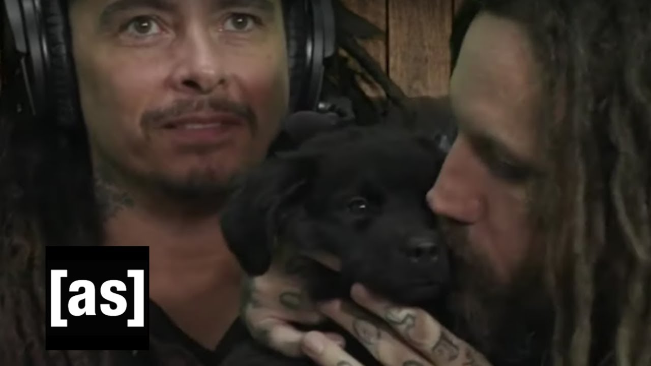 Korn Helps Dogs Find Forever Homes | Williams Street Swap Shop | adult swim