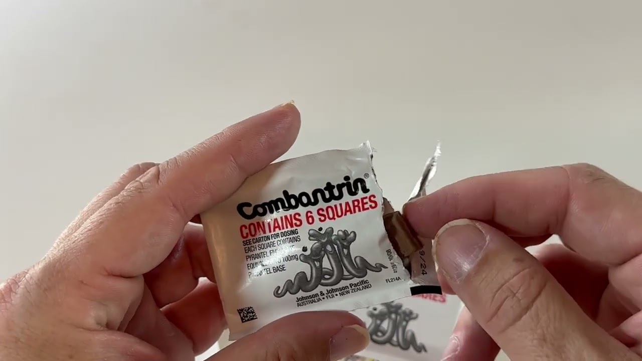 Combantrin Chocolate Squares 24 Worming Treatment for Children and Adults - Made in Australia