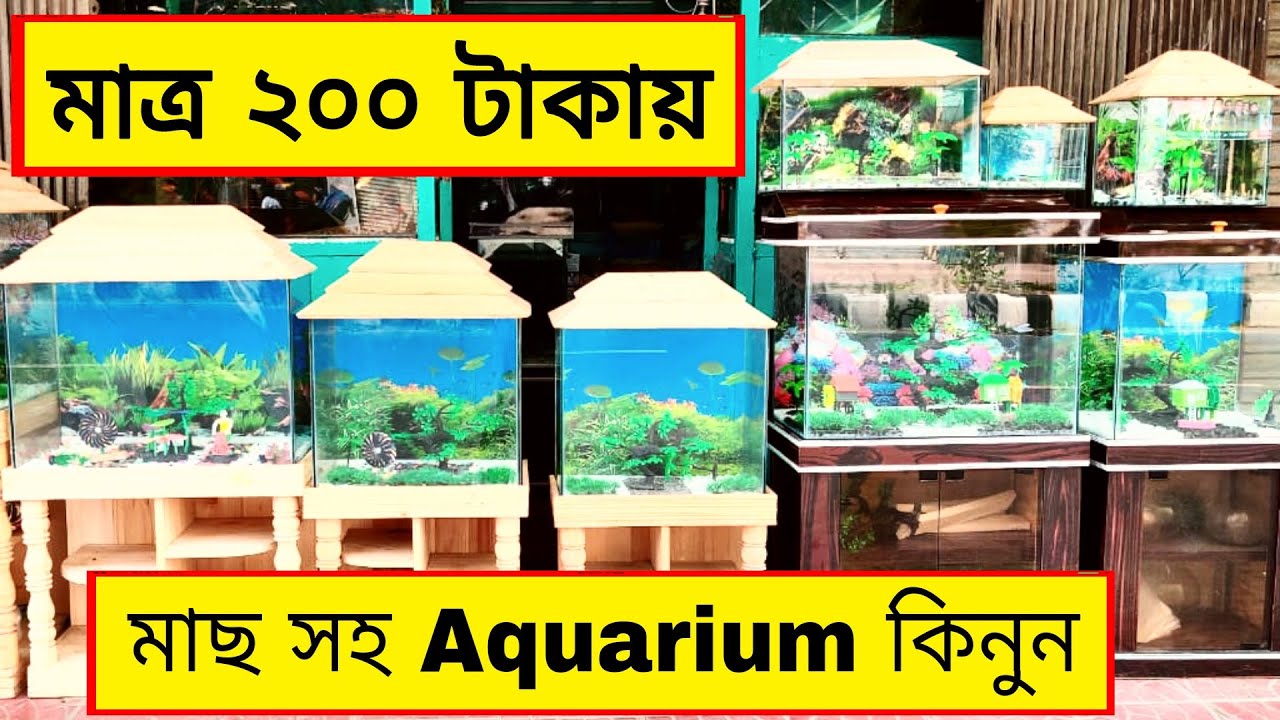 মাত্র ২০০ টাকায়😱মাছ সহ Aquarium কিনুন👌Buy Low Price Aquarium @Ocean World-1🔥Rofiq Vlogs