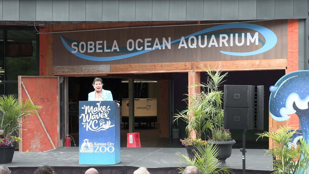 Introducing the Sobela Ocean Aquarium!