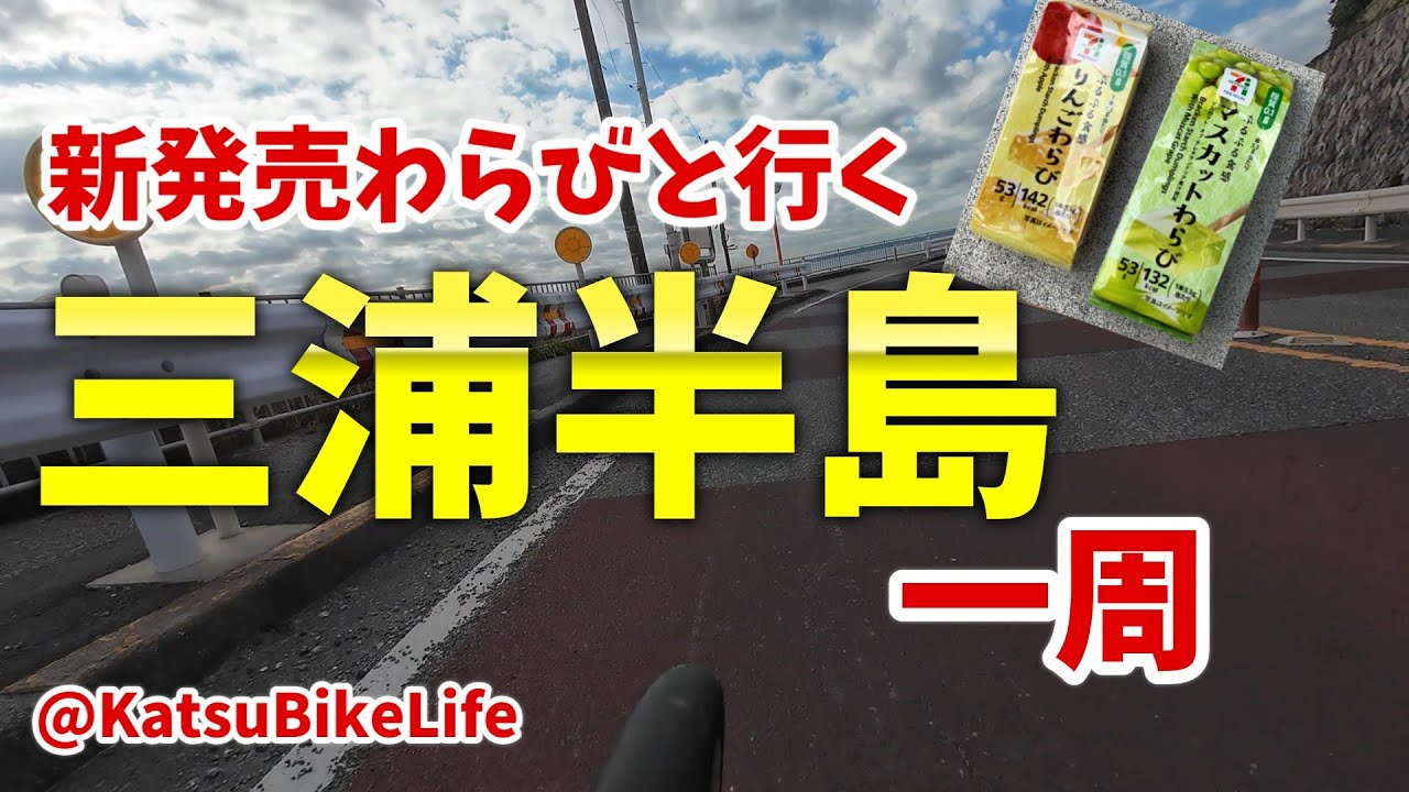【ロードバイク】 三浦も頑張ったし裏国際も頑張ったけどサドル低い気がするだって膝痛いもん。