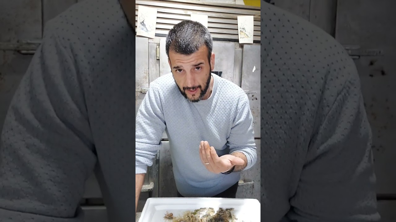 ΔΟΛΩΜΑ ΚΑΡΑΒΙΔΑΚΙ