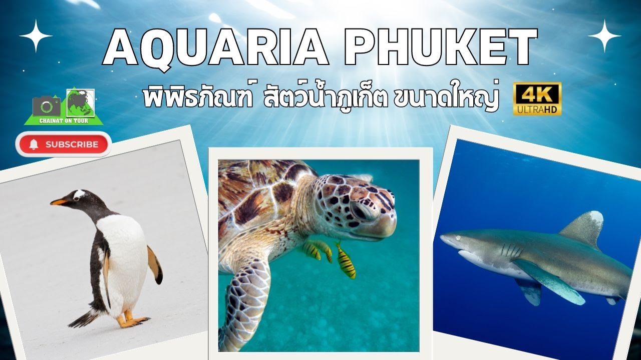 เที่ยวอควาเรีย ภูเก็ต ตื่นตาตื่นใจกับโลกใต้ทะเลที่ใหญ่ที่สุดในไทย 4K UHD