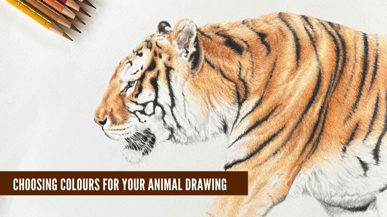 How to Choose the Right Colours for Animals Using Coloured Pencils