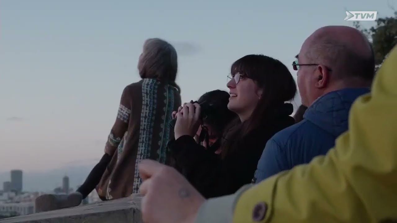 Do you remember January’s incredible White Wagtail spectacle in Valletta? 🐦✨