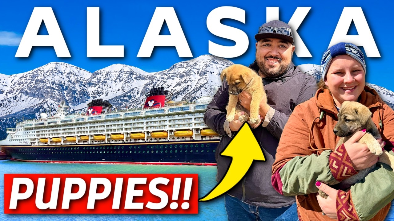 Игры со ЩЕНКАМИ и аренда машины на Аляске! Влог о круизе Disney 2026!