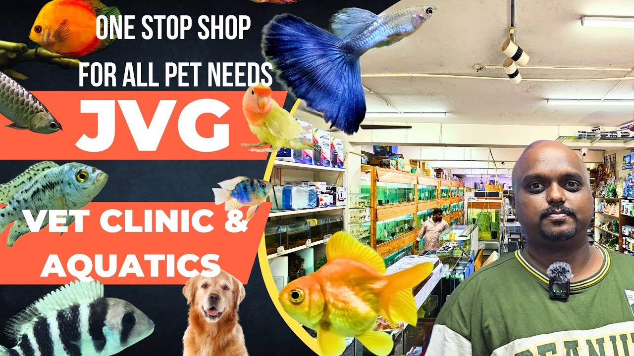 JVG VET CLINIC AND AQUATICS | One stop shop for all your pet needs | Big aquarium | Store tour|
