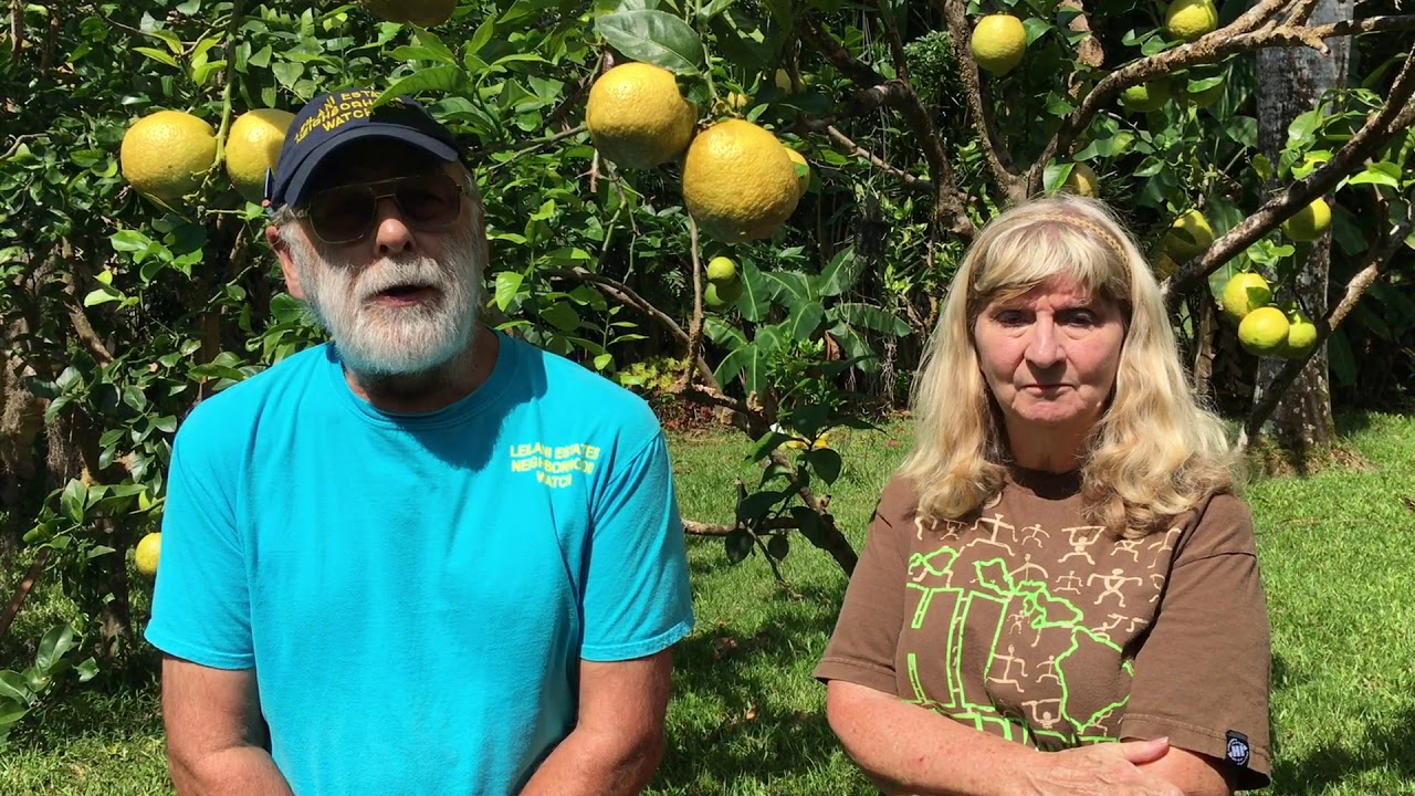 Leilani Estates residents remain behind despite hardships
