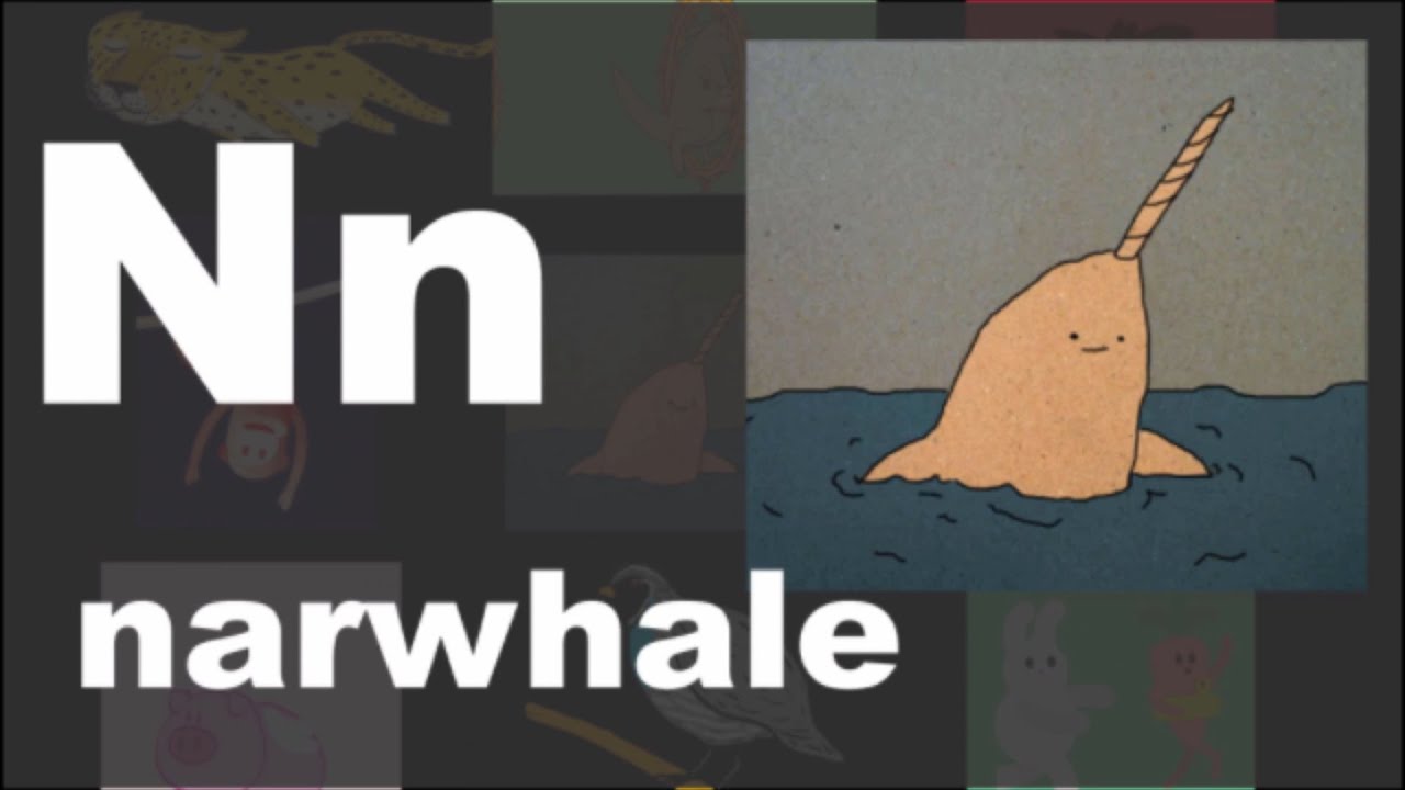 Phonics Song | N for Narwhal - what is a narwhal? | Kidzstation
