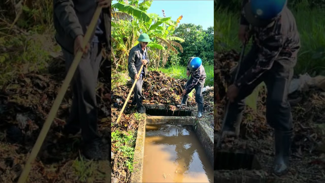 Kênh mương tuới cà phê 