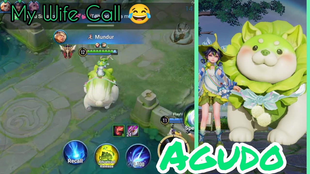 Agudo | This Is A Cute Skin But The Hero Is So Deadly | Honor Of Kings