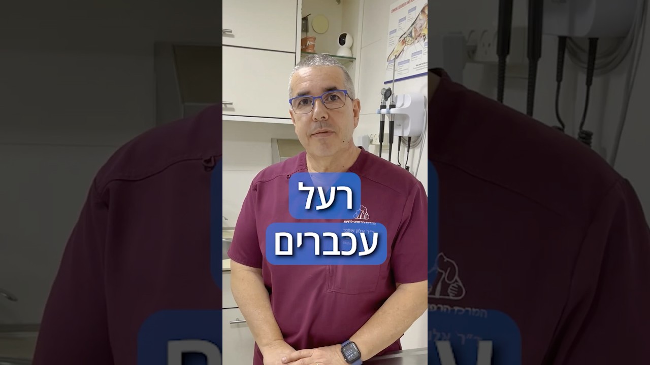 כמה רעל עכברים מסוכן לכלבים? | רפואה על ארבע