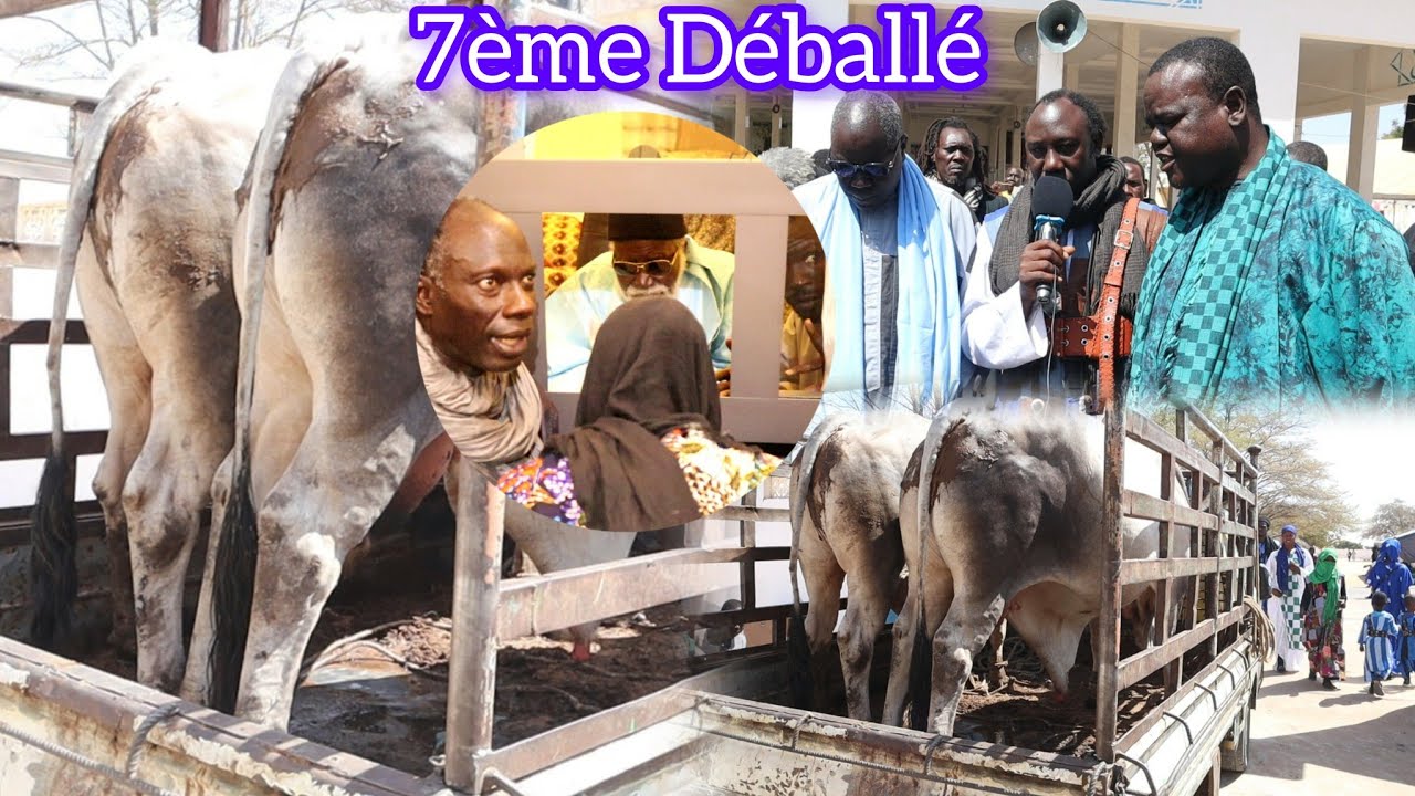 7ème Déballé Adiya Serigne Mame Cheikh Khady Faye Wajal Ndogou Ajouma dji Touba DIANATOU 
