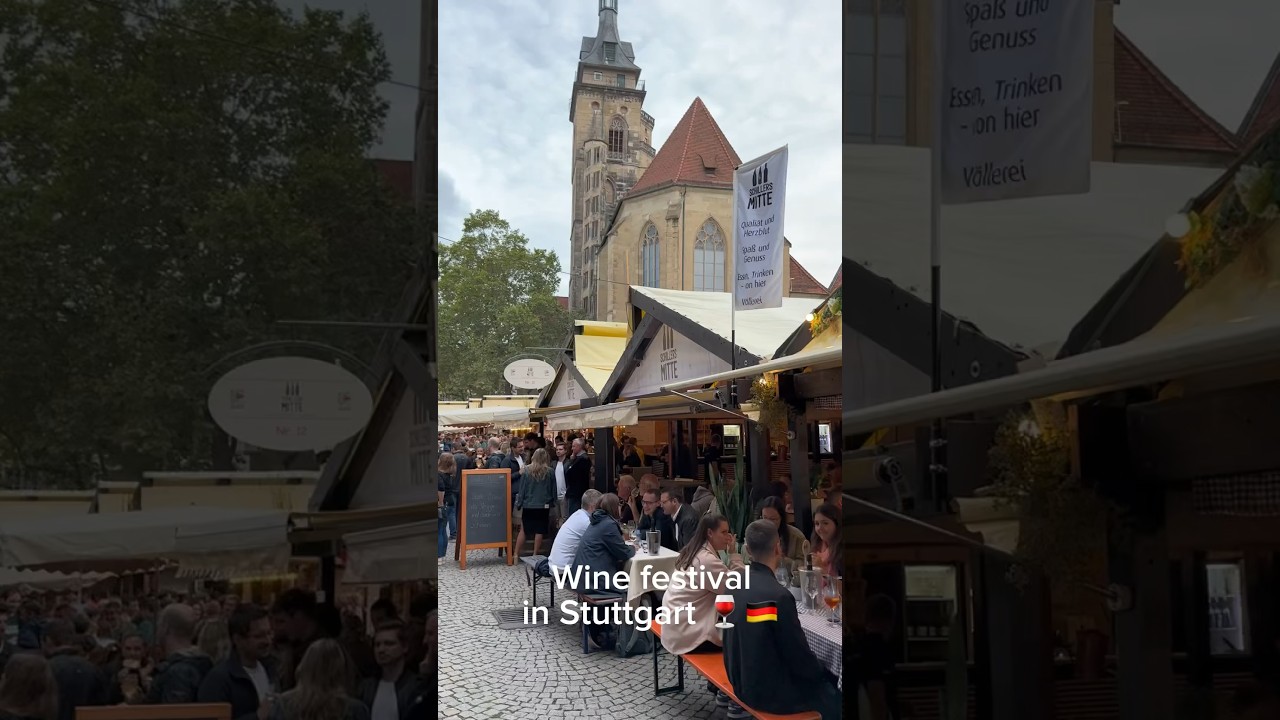 Wine festval in Stuttgart 🍷 #winefestival #stuttgart