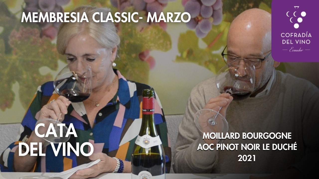 Cata Moillard Bourgogne Pinot Noir Le Duché 2021 | Classic | Vino del Mes 🍷