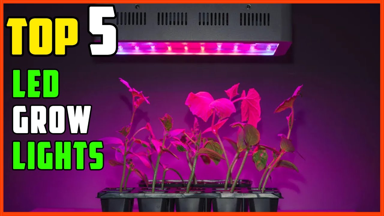 TOP 5 Best 600W LED Grow Lights 2026 | Grow Lights That Actually Work
