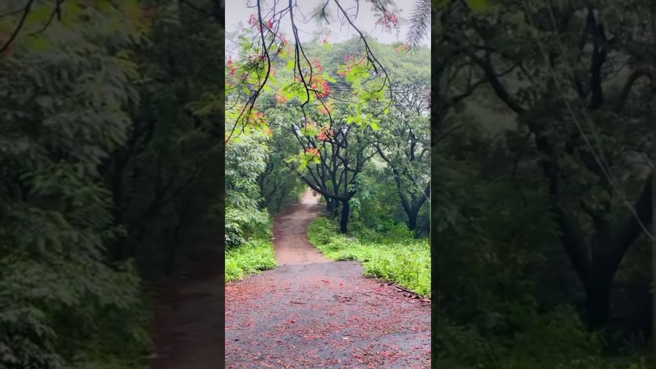 The Enchanting Beauty of Bangalore University in the Rain