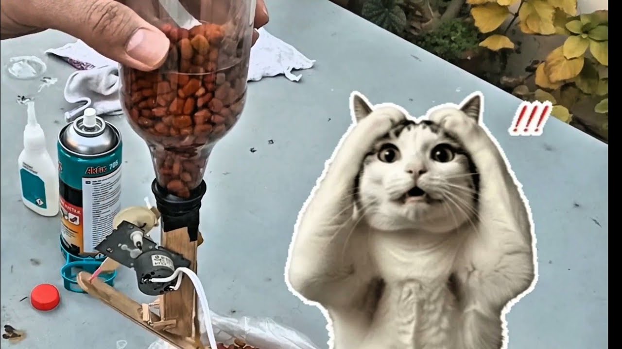 Otomatik Mama Makinesi -Çalıştı mı ?