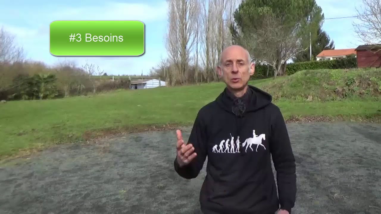 Mon cheval mord que faire ? [cas pratique ENV]