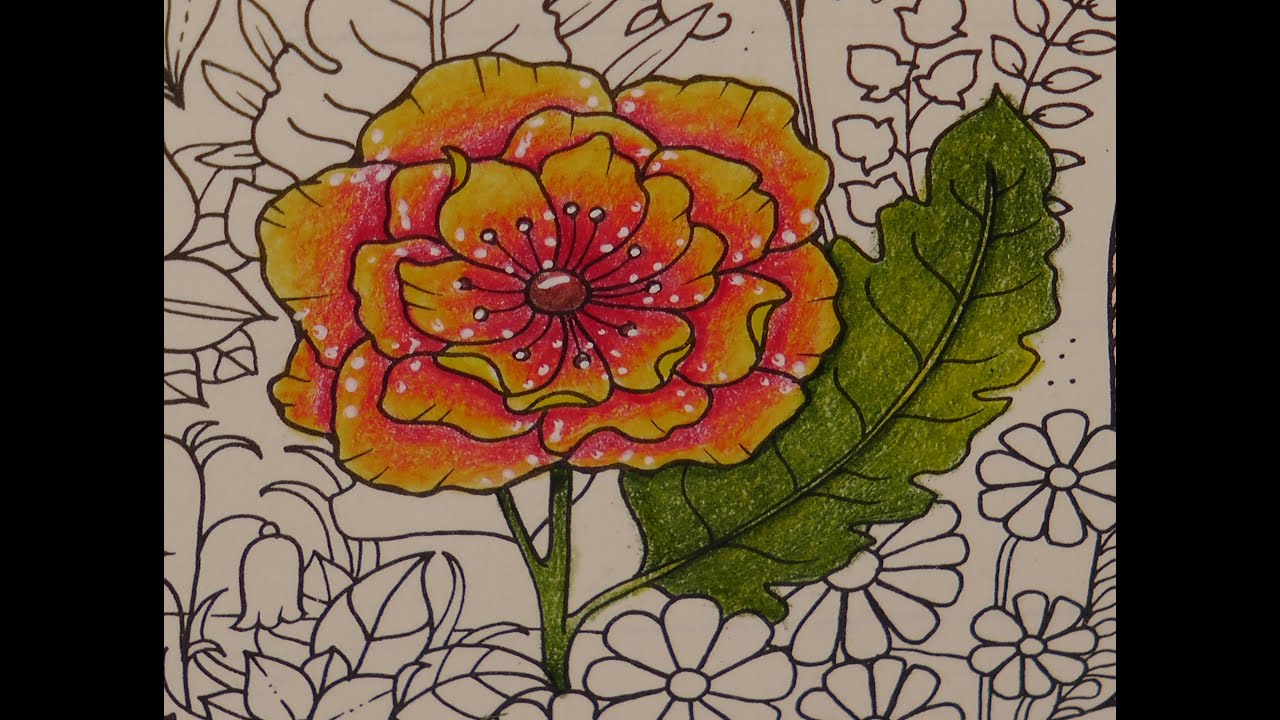 Adult Colouring Tutorial Orange Flower - from Johanna Basford 2021 Weekly Planner