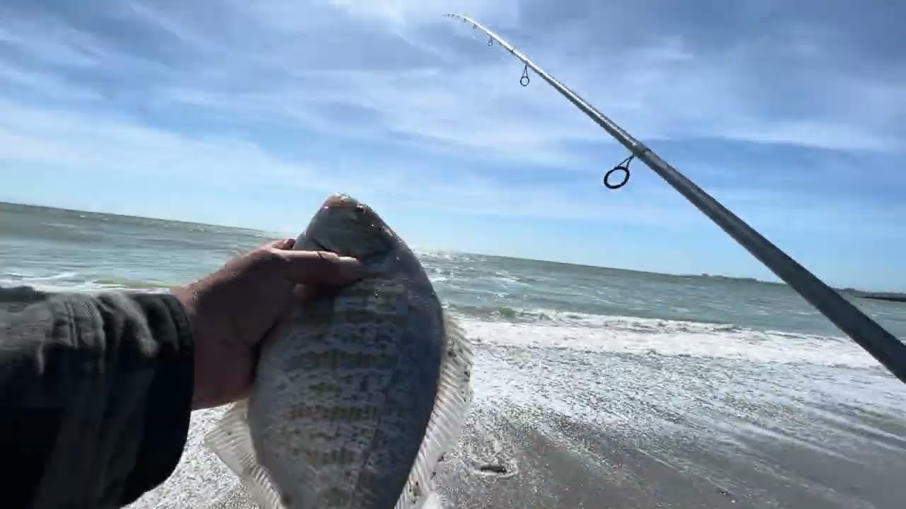 Surf Perch Fishing Springtime!  No Commentary