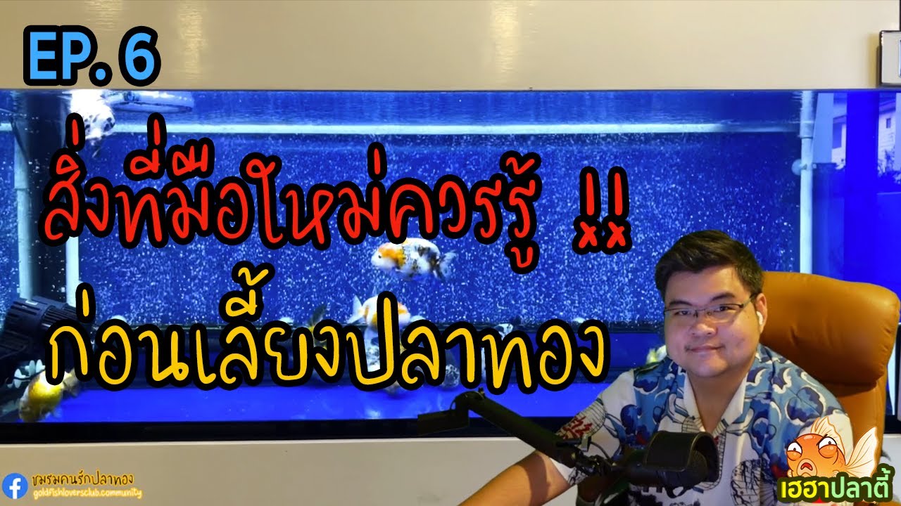 สิ่งที่มือใหม่ควรรู้ ก่อนเริ่มเลี้ยงปลาทอง! | EP.6 | 19 ม.ค. 65