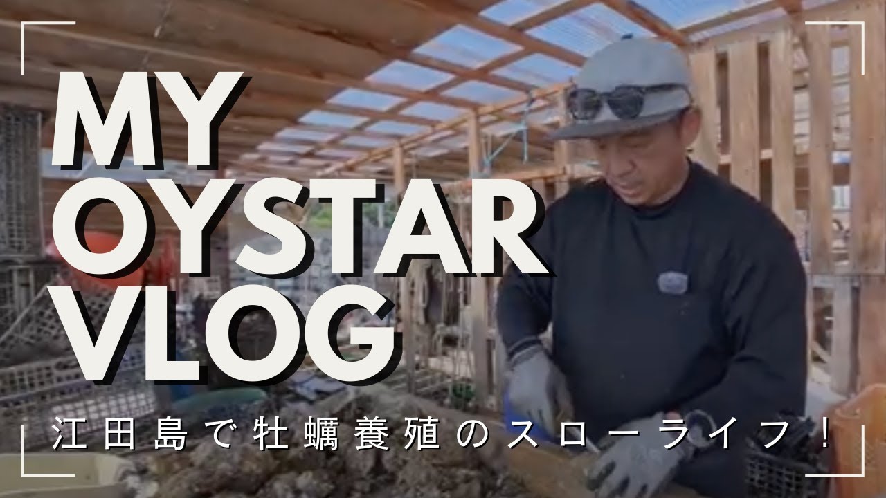 【牡蠣養殖】江田島 沖の島 GRADING RAFT